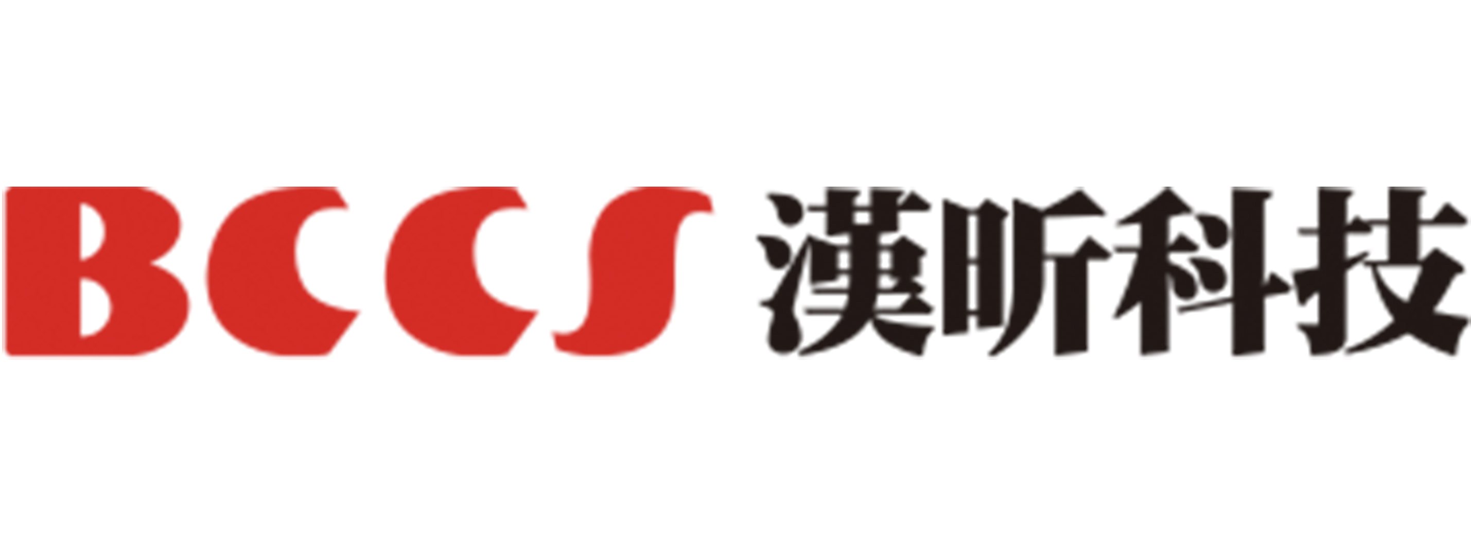BUSINESS CONTINUITY COMPUTING SYSTEM INC.