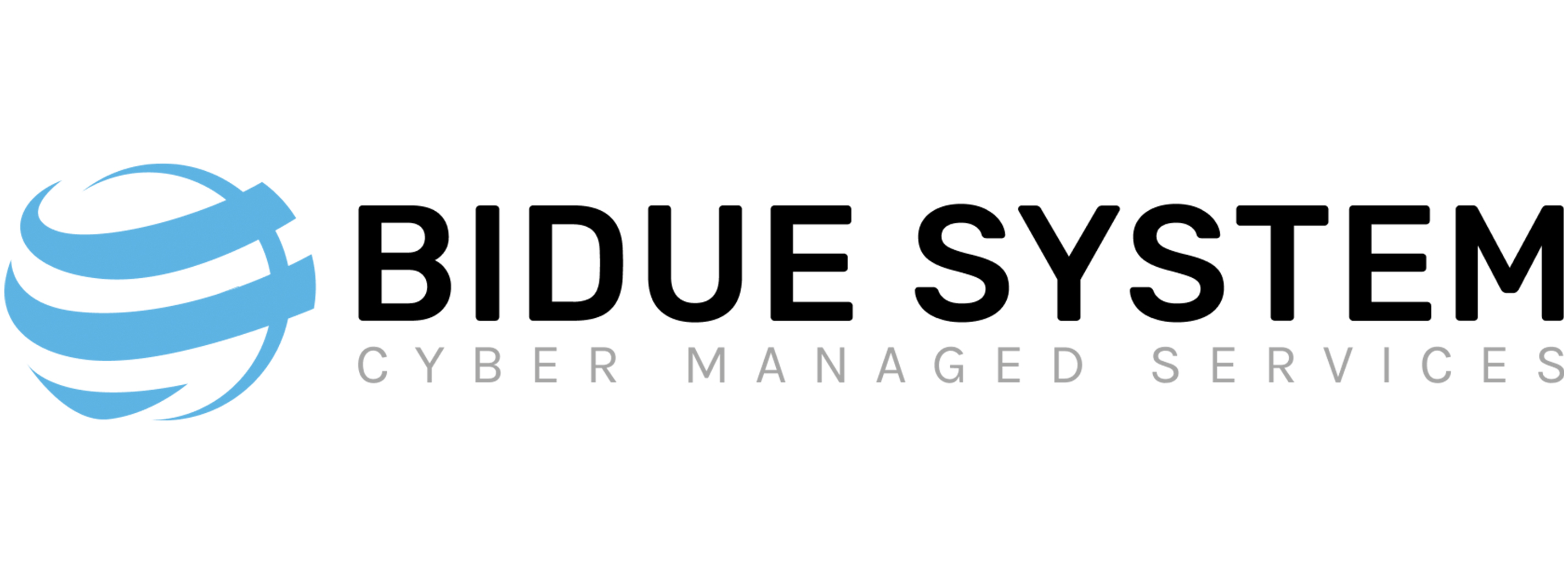 Bidue System