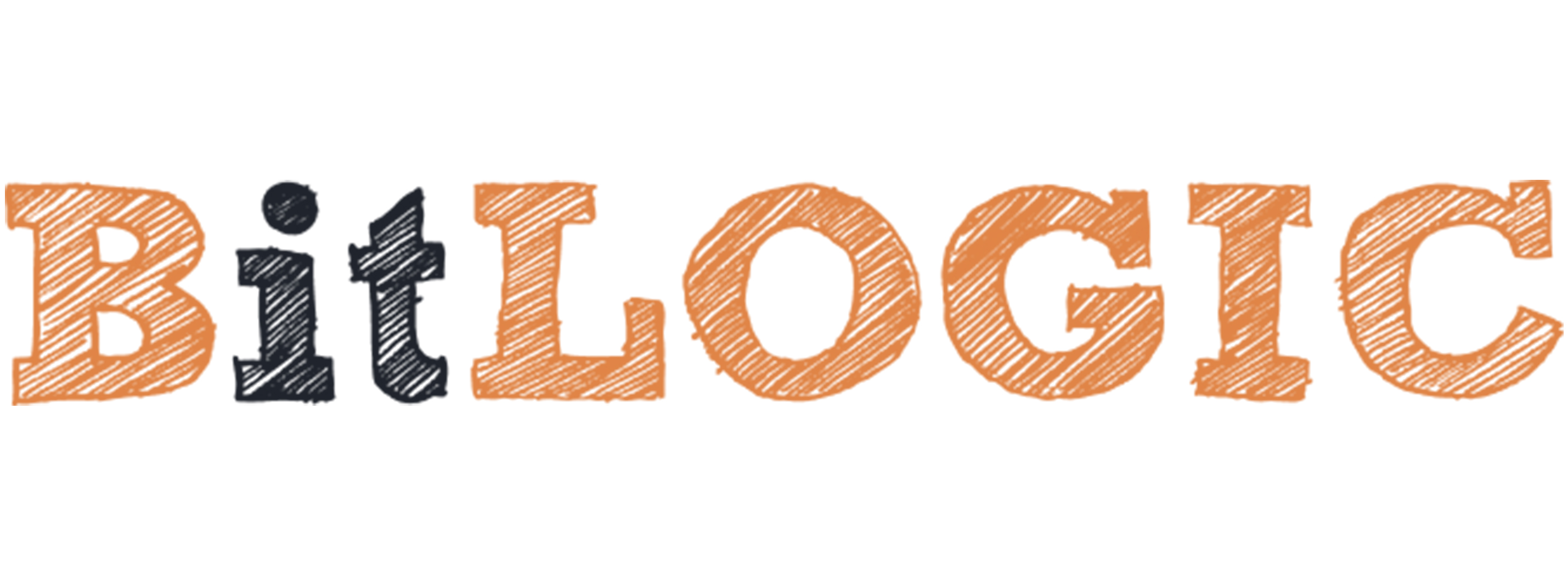 BitLOGIC IT Services