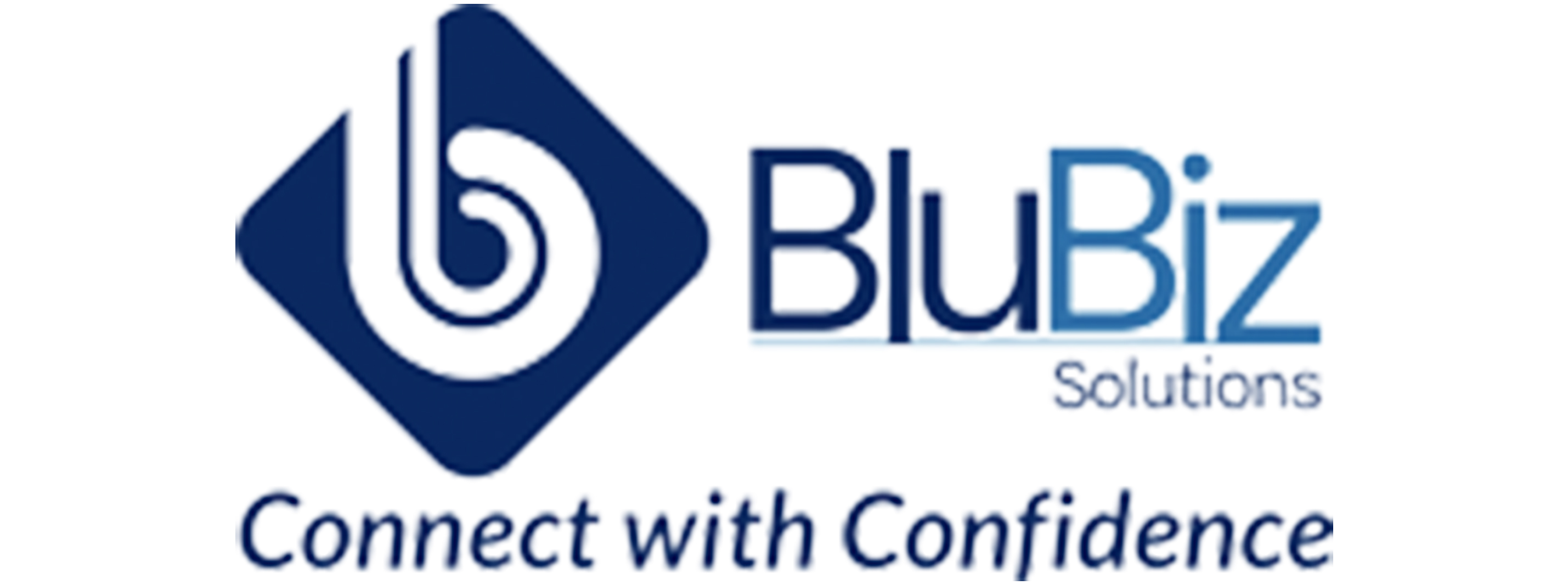 Blubiz Solutions Pty Ltd