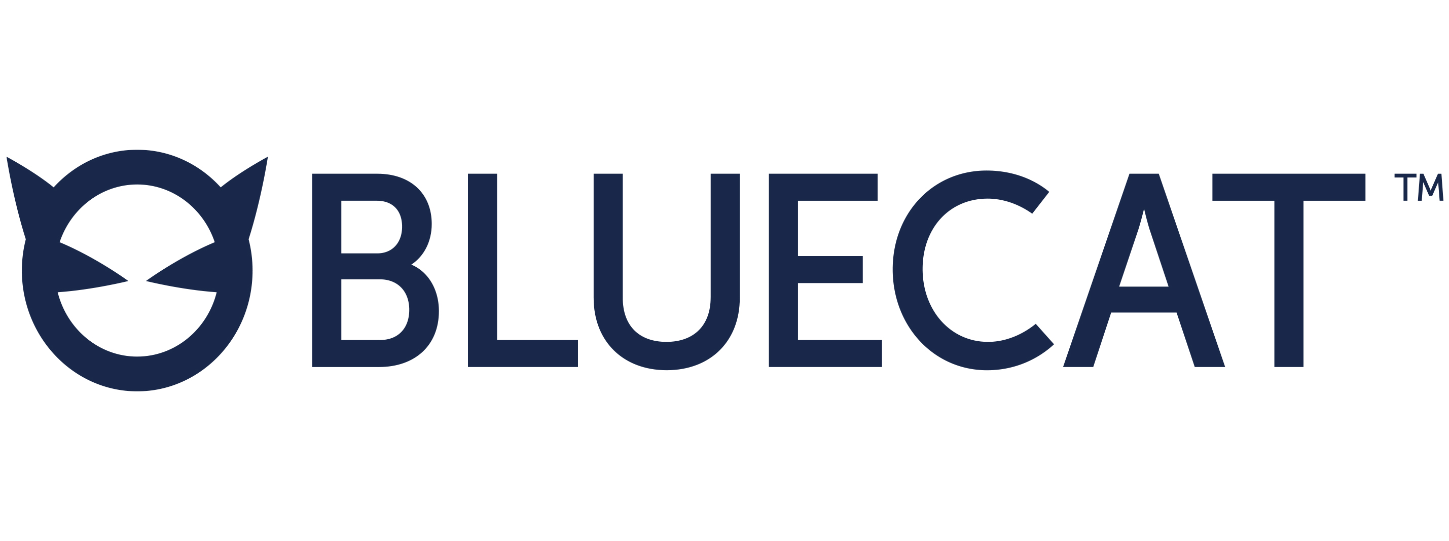 Bluecat Networks Inc