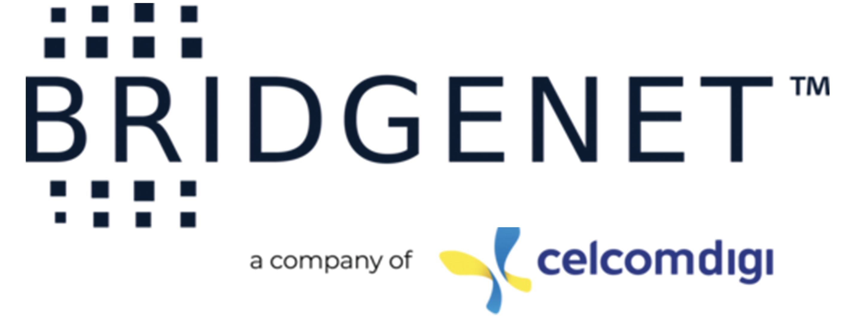 Bridgenet Solutions Sdn Bhd