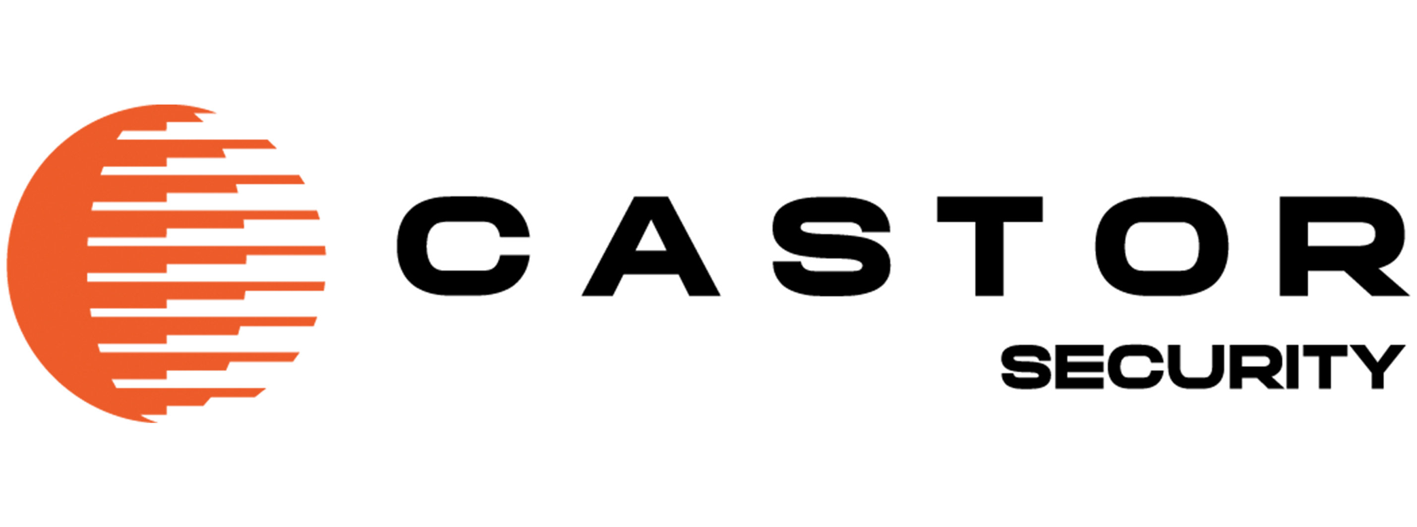 CASTOR SECURITY LLC
