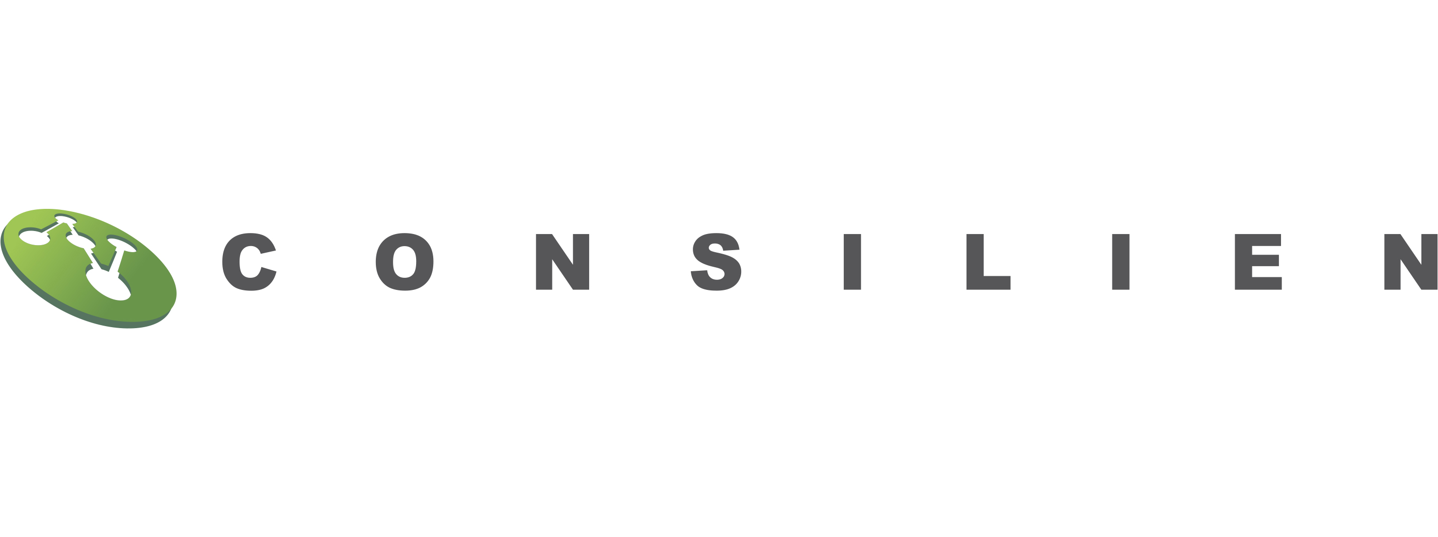 Consilien LLC