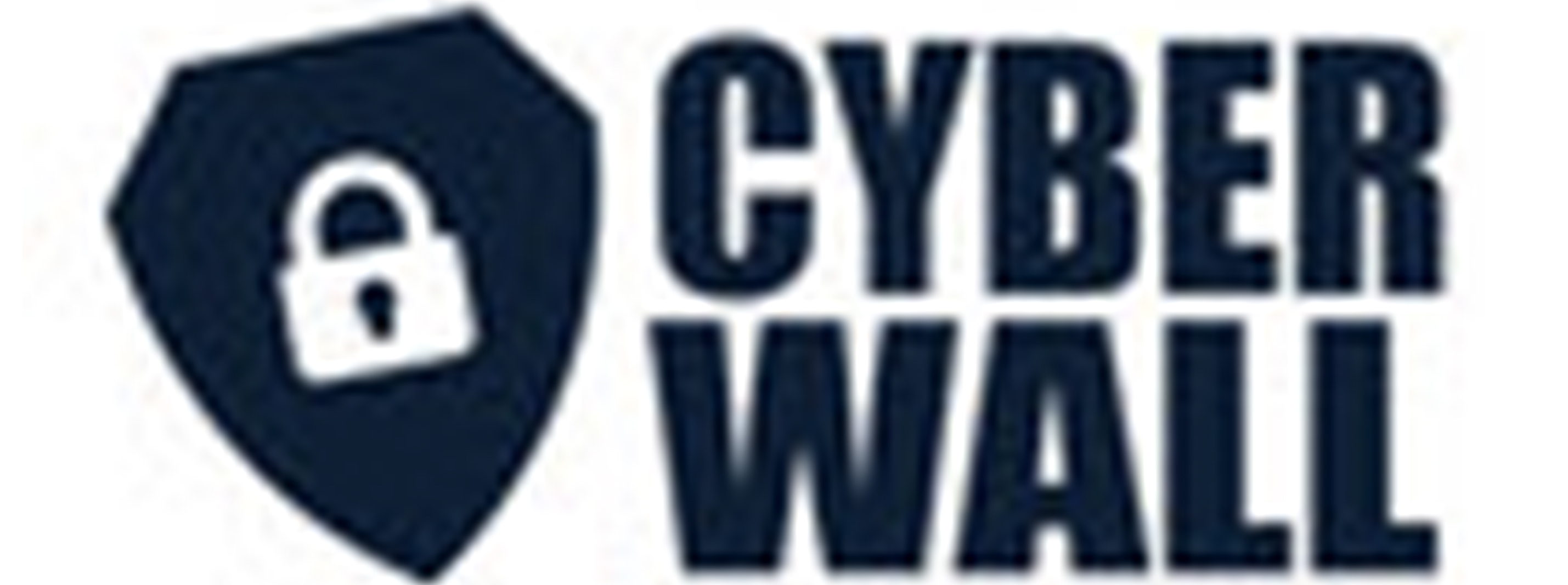 Cyberwall Inc