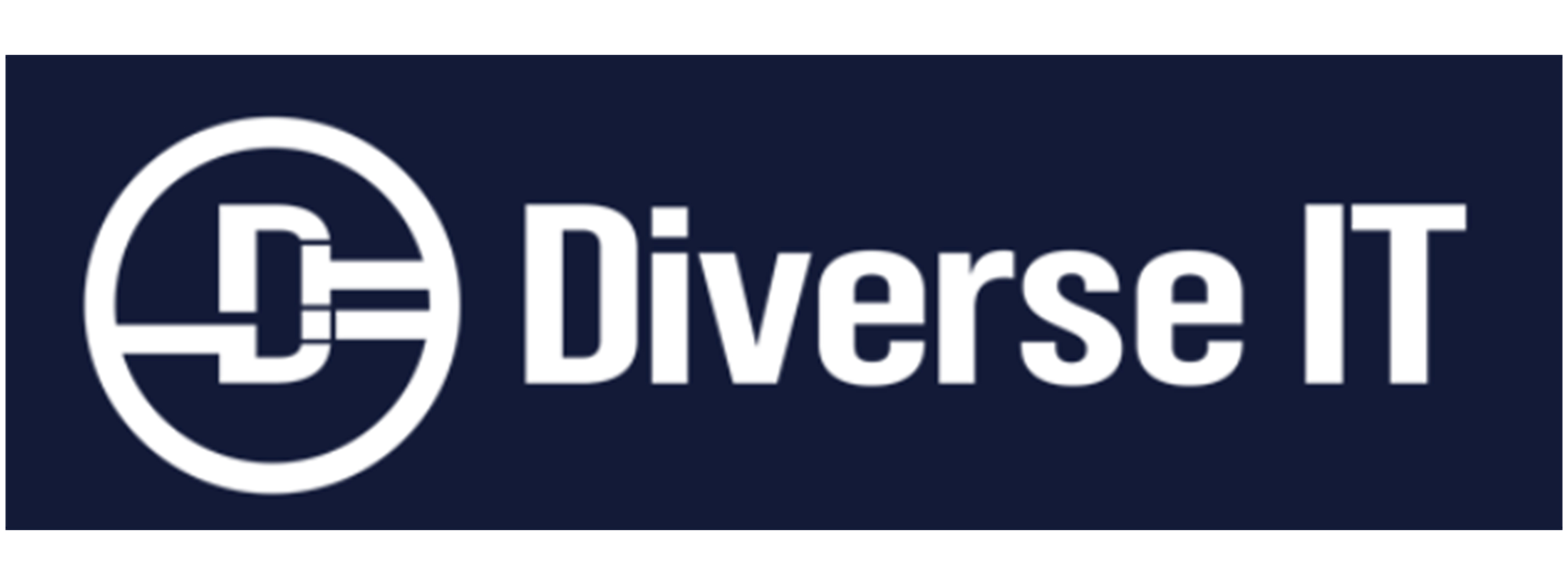 Diverse IT, LLC
