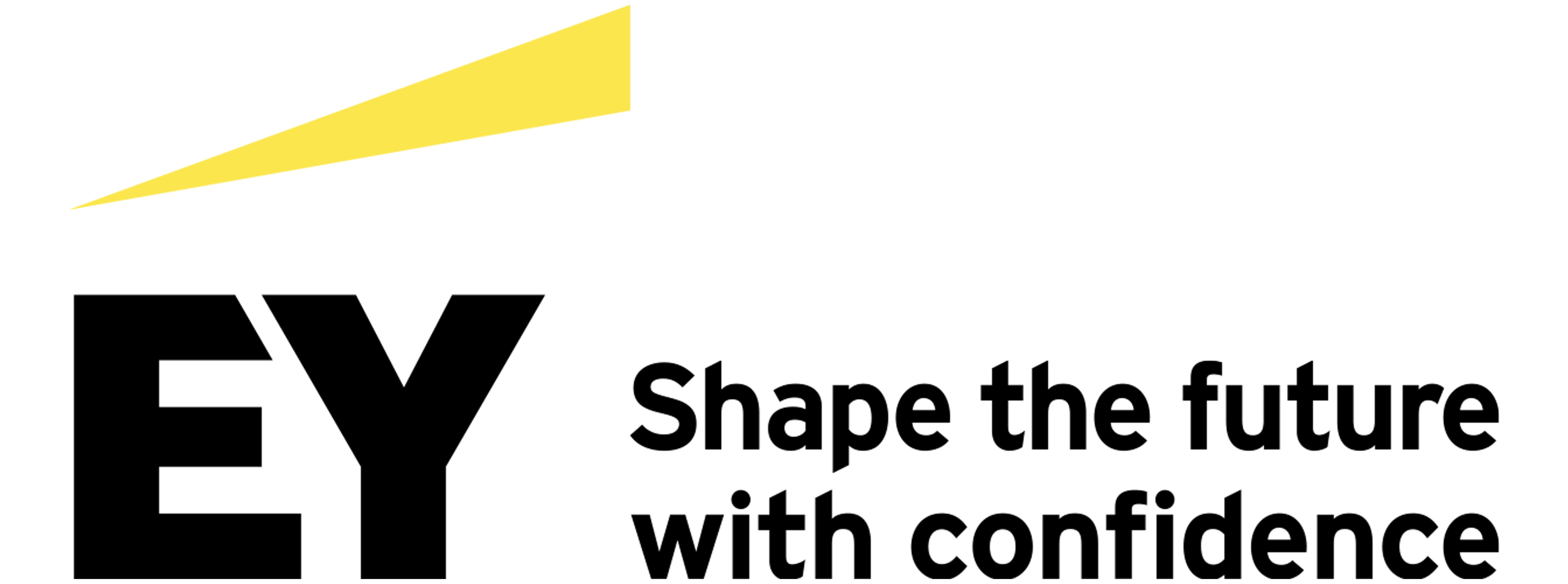 Ernst & Young Llp