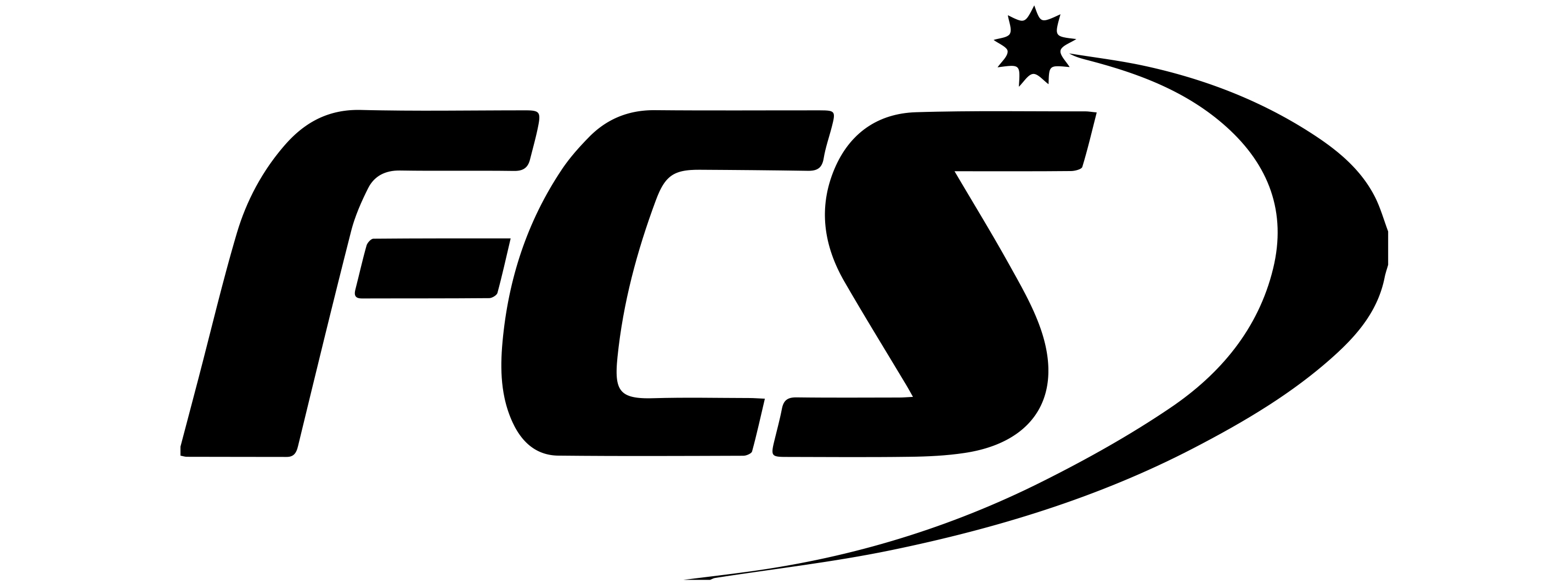 Ferguson Computer Services, Inc