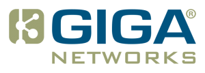 GigaNetworks