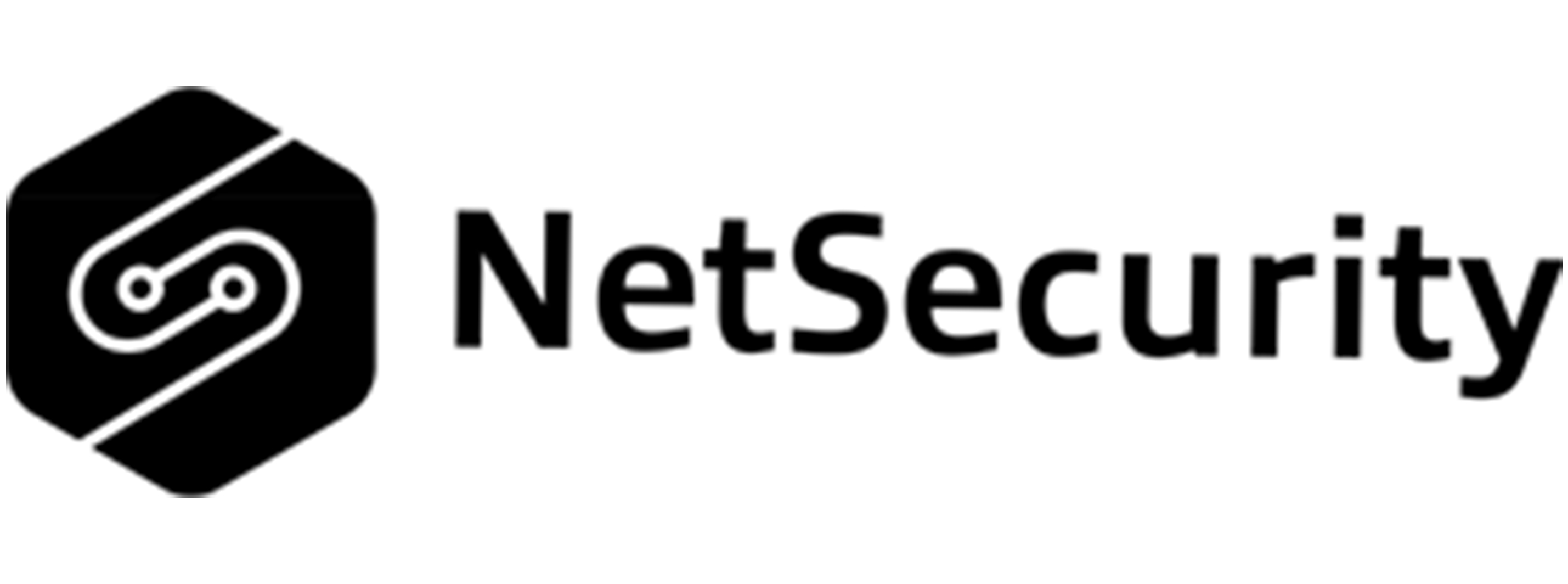 NetSecurity