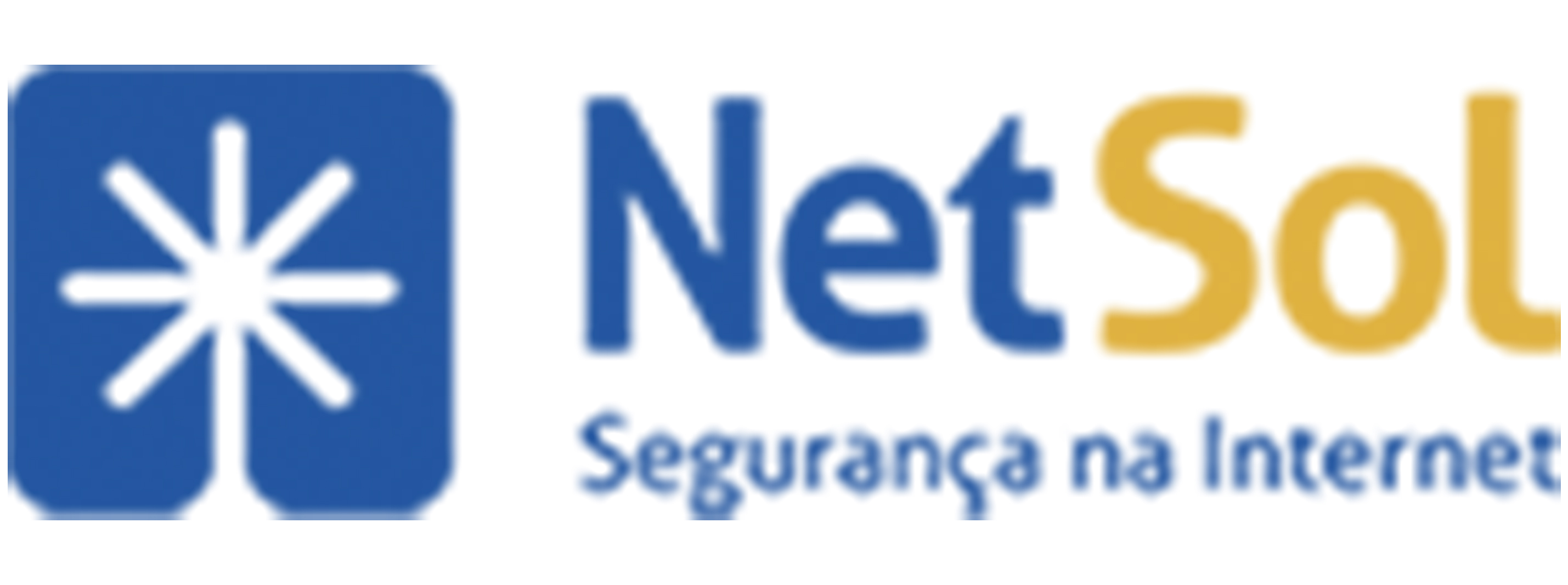 NetSol Ltda