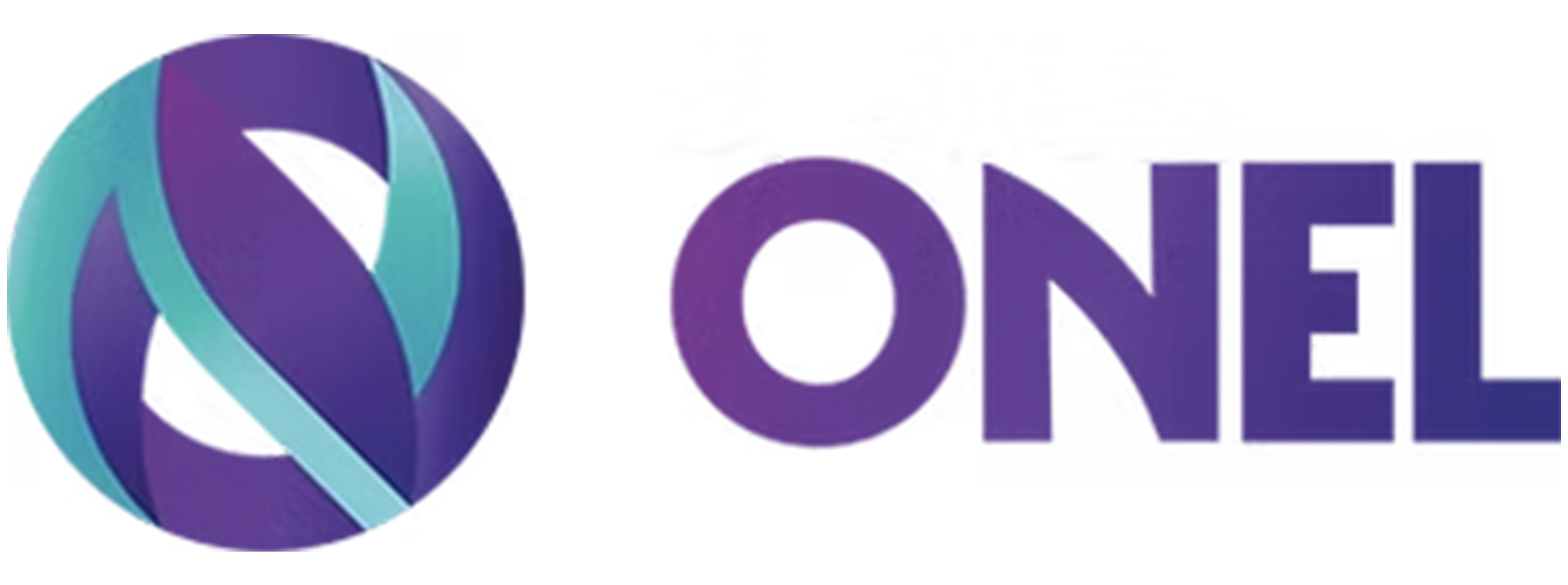 ONEL CONSULTING PTY LTD