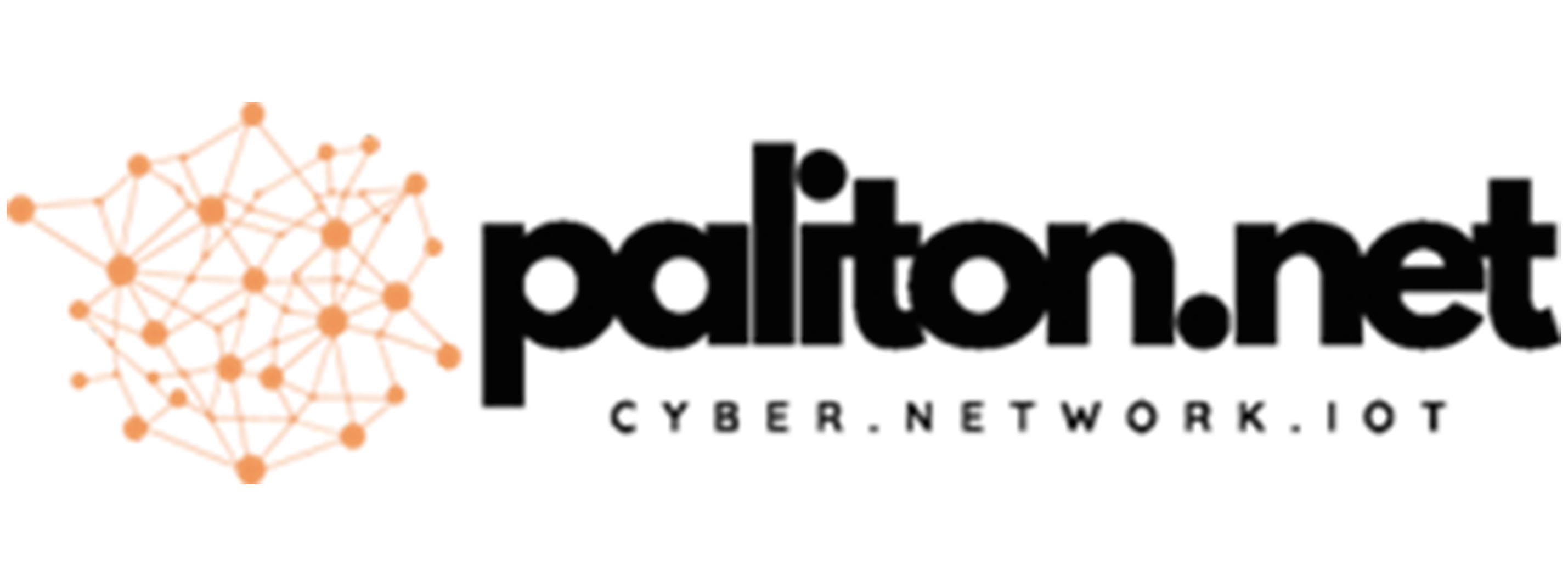 Paliton Networks