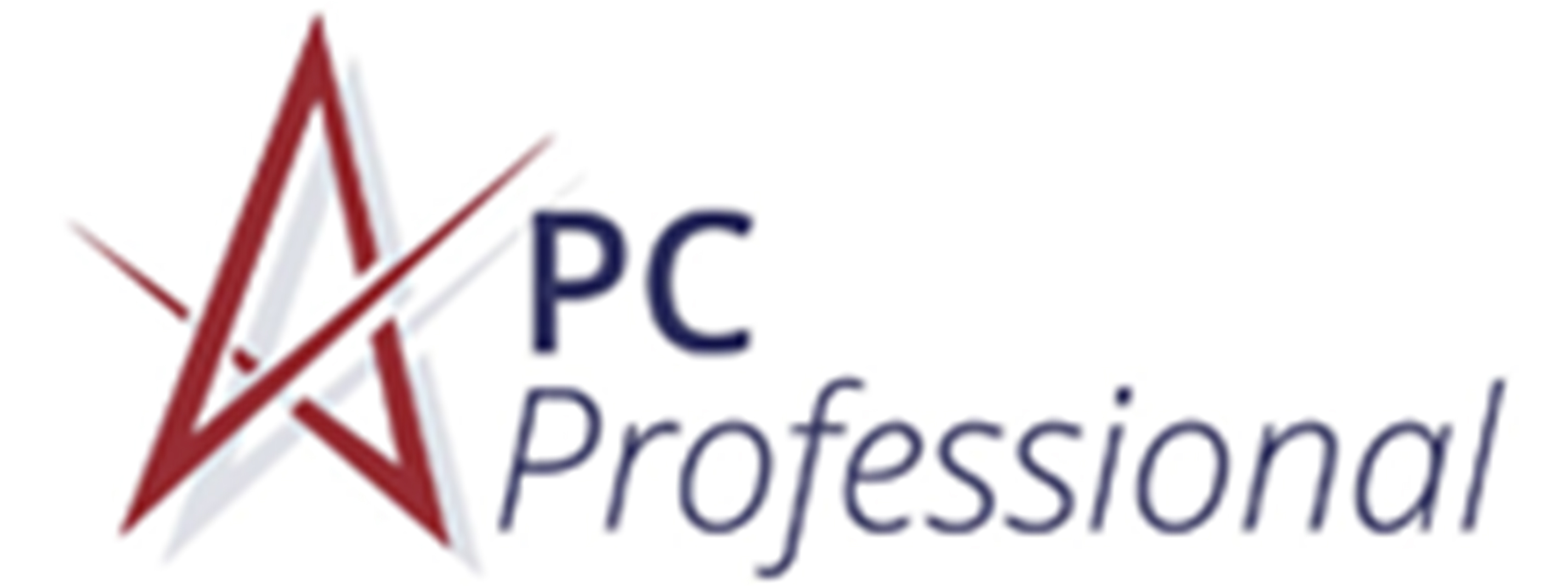PC Professional, Inc.