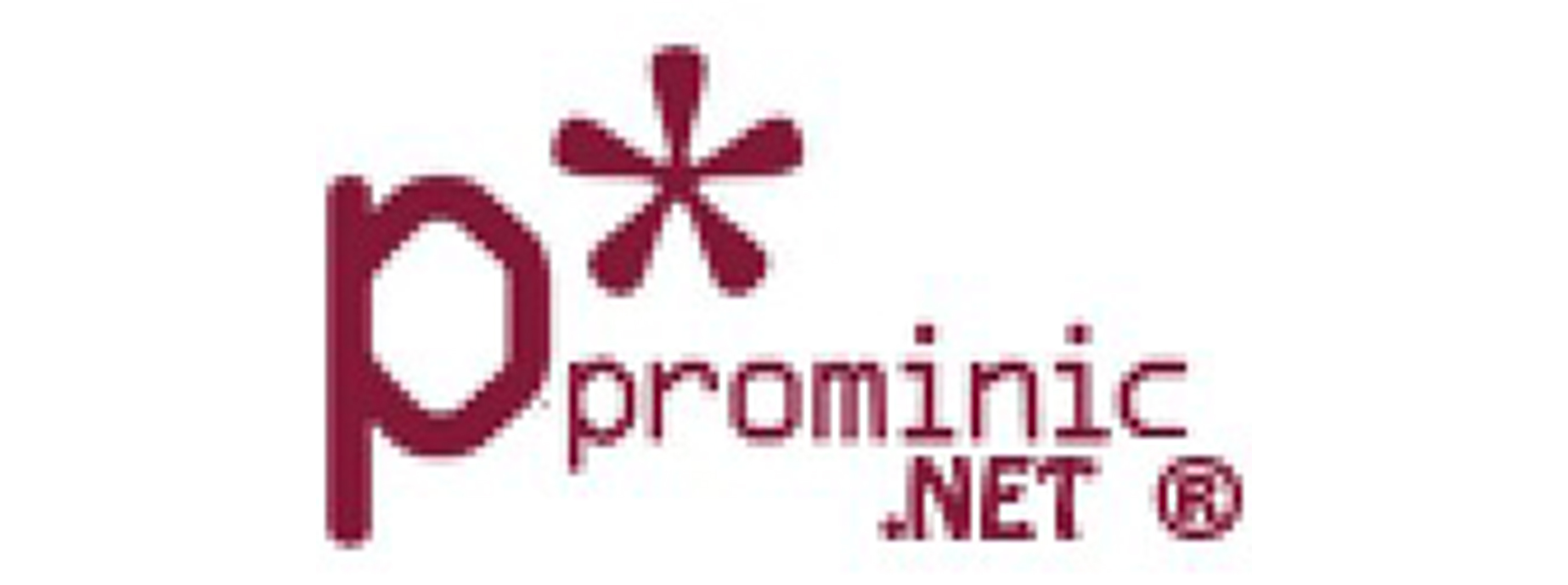 Prominic.NET, Inc.