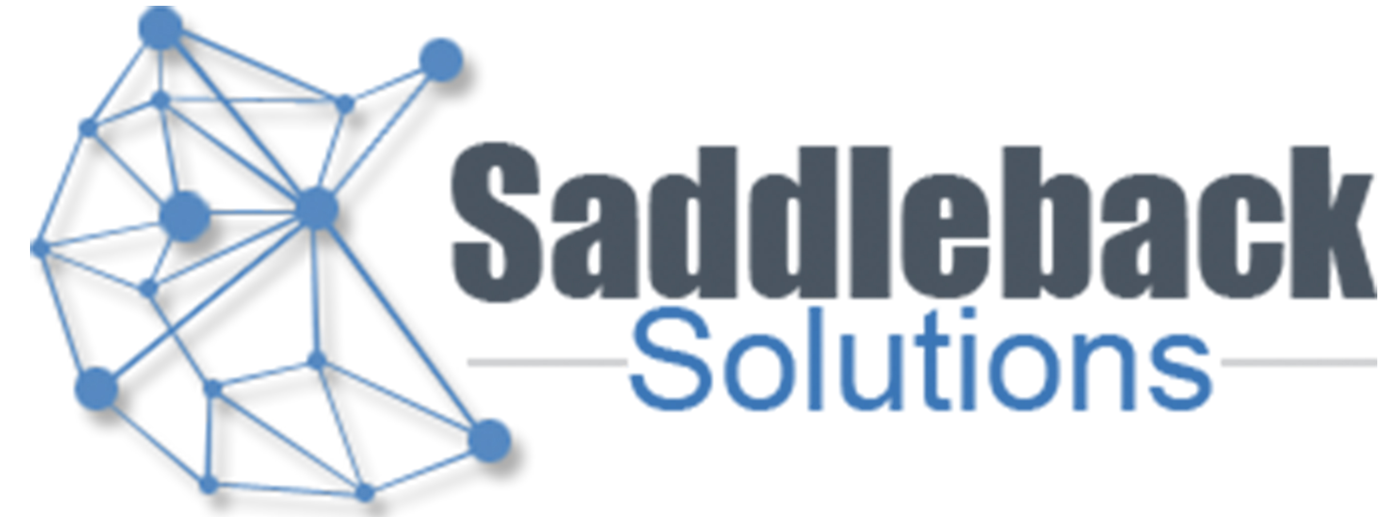Saddleback Consulting Ltd.