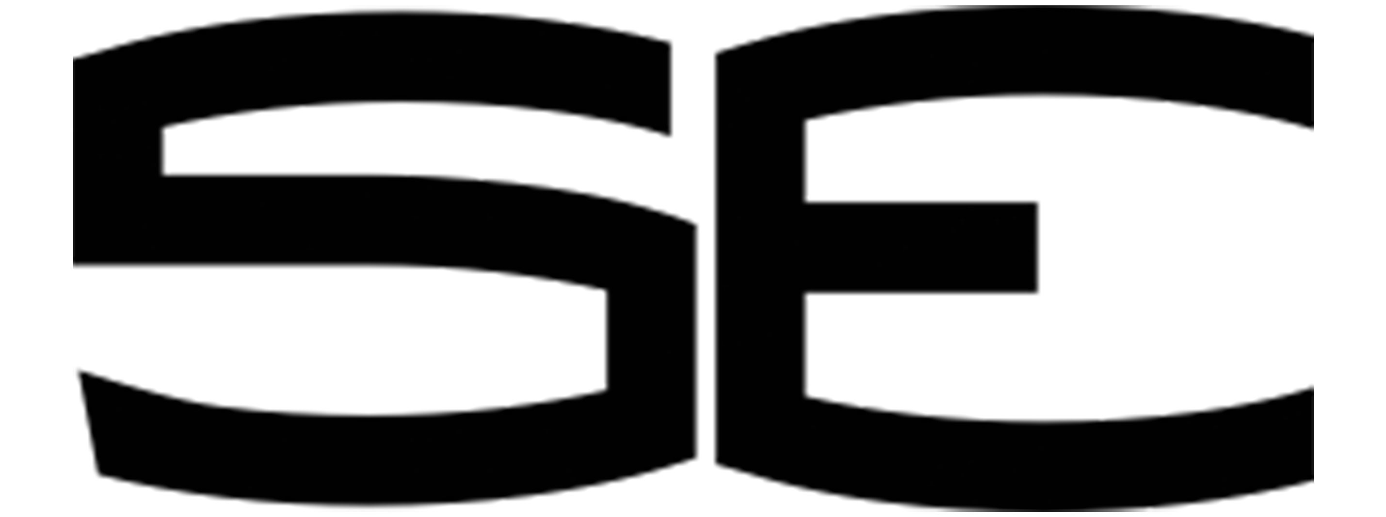 SECURE EDGE INC.