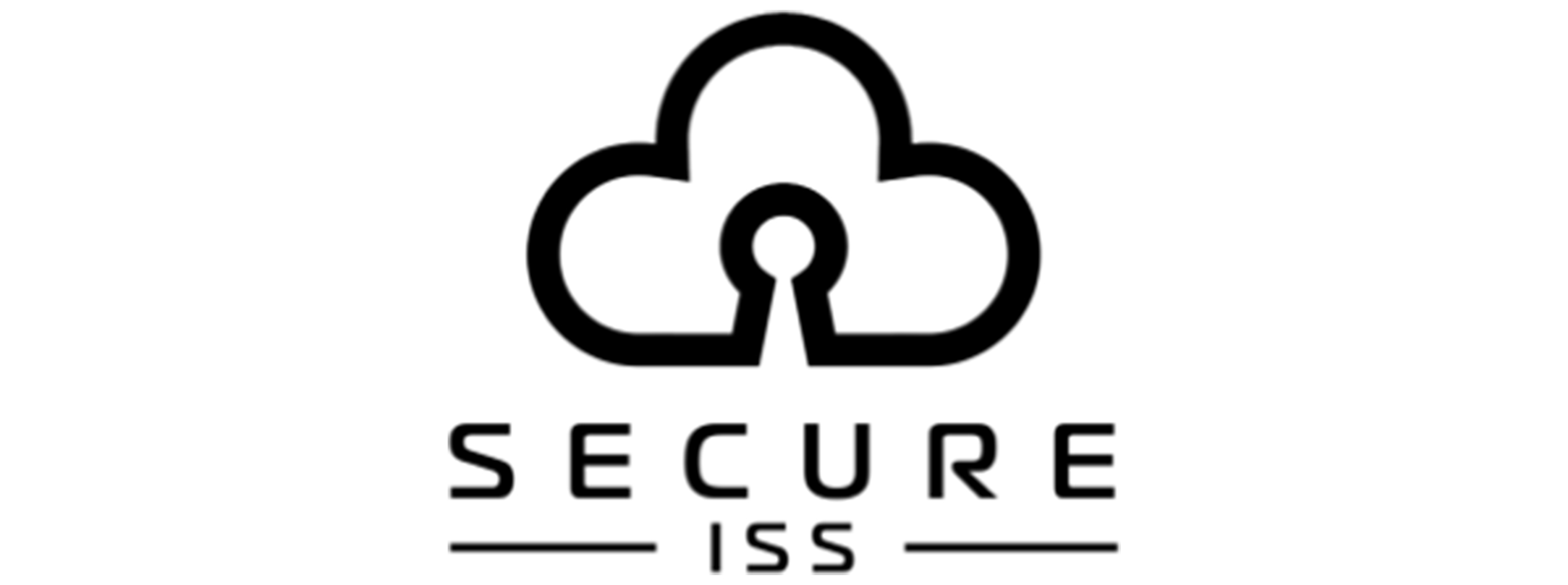 SECURE INTERNET STORAGE SOLUTIONS PTY LTD