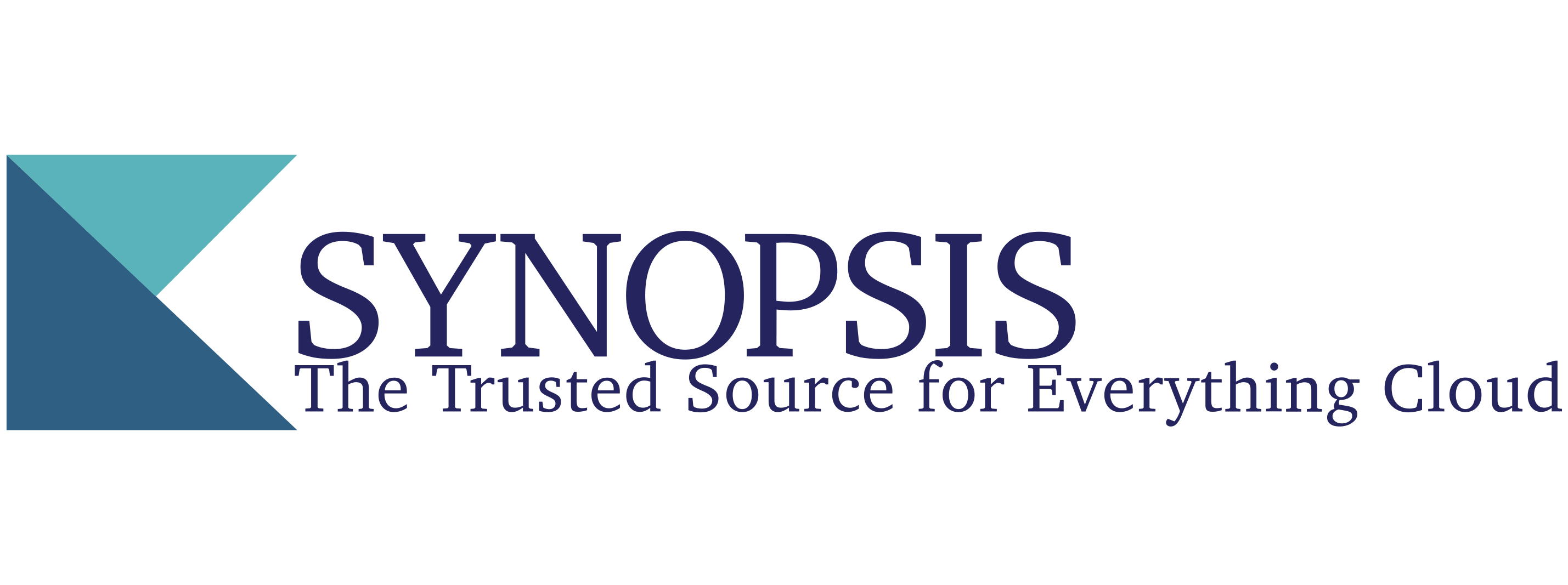 SYNOPSIS FOR TECHNOLOGY SERVICES S.P.C.