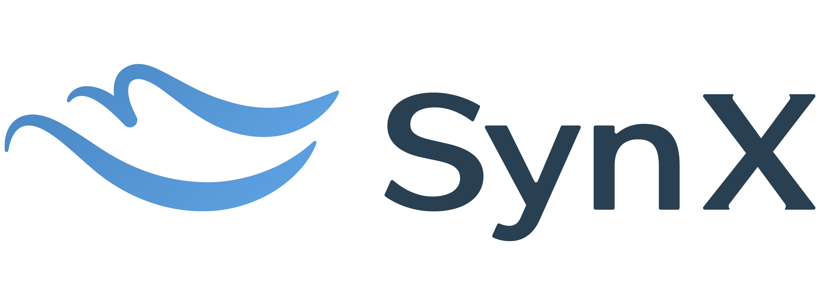 SynX Inc.