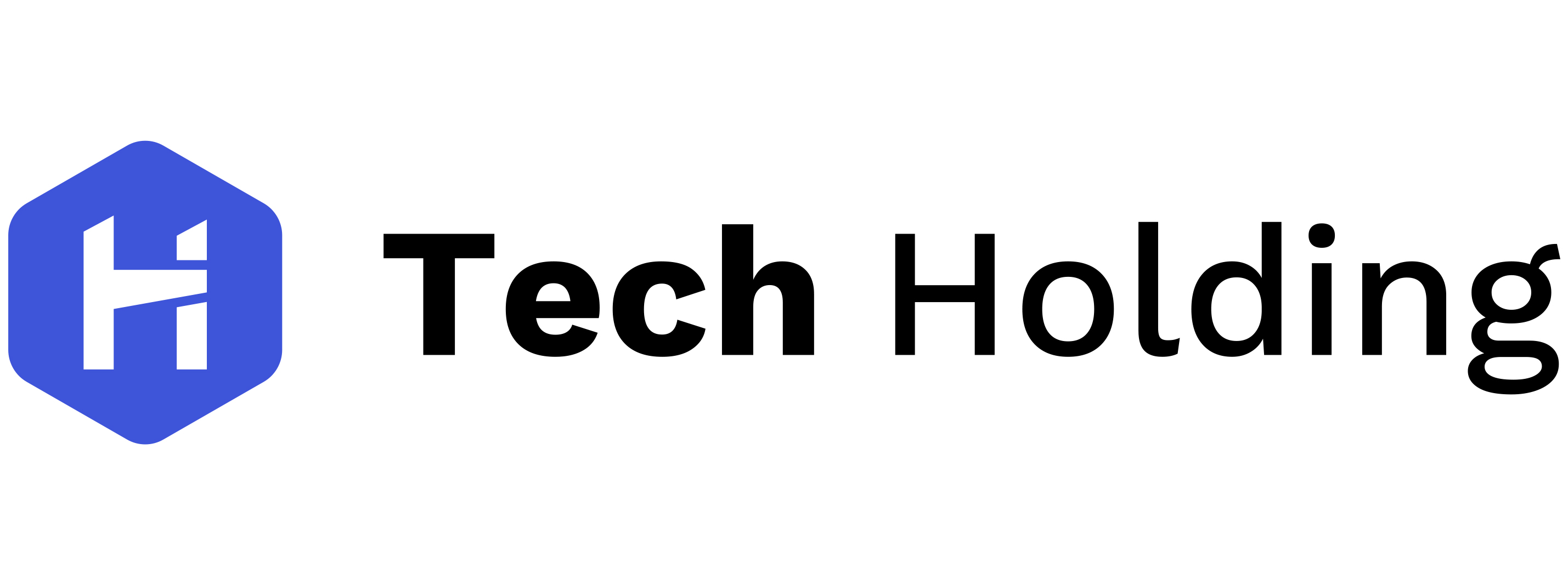 Tech Holding