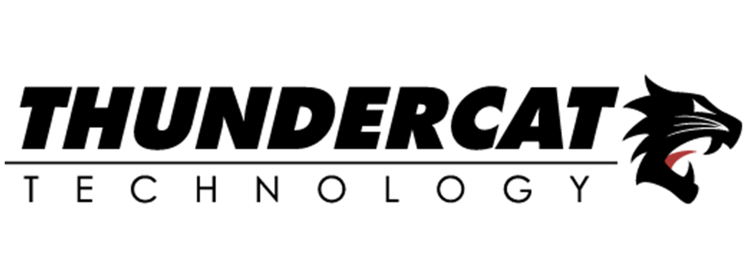ThunderCat Technology