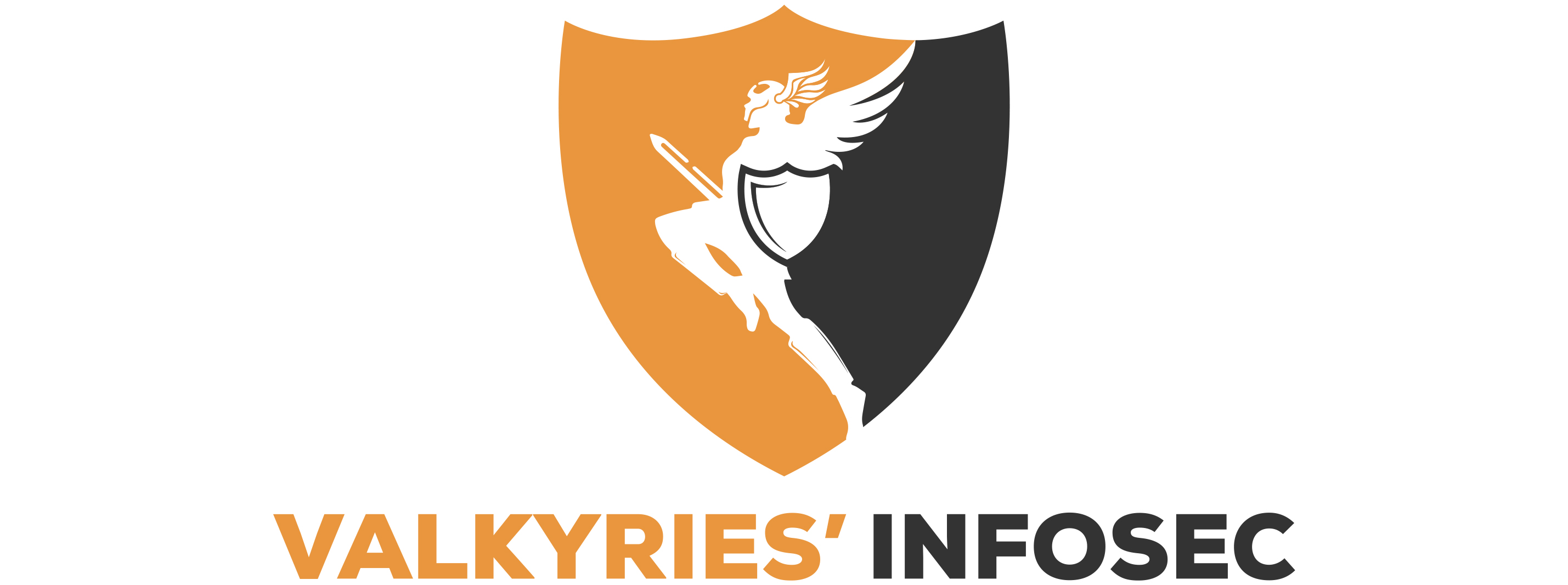 Valkyries' Information Security